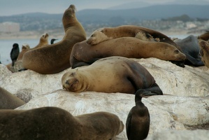 08 Monterey 090914 19.14