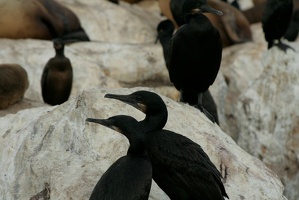 09 Monterey 090914 19.15