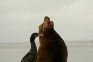 10 Monterey 090914 19.15