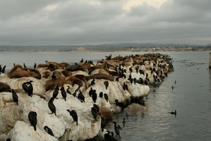 11 Monterey 090914 19.15