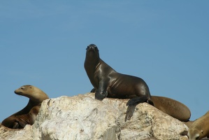 133 Monterey 090918 12.05