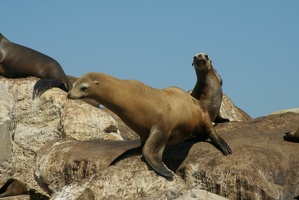 134 Monterey 090918 12.05