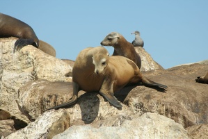 135 Monterey 090918 12.05