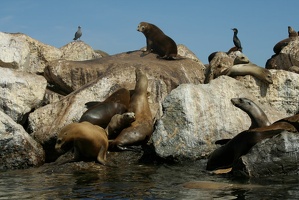 136 Monterey 090918 12.05