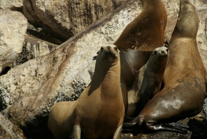 137 Monterey 090918 12.05