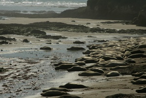 149 Monterey 090918 15.28