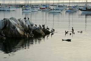 25 Monterey 090916 07.36