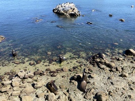 23 Monterey 25.09.22 14.23