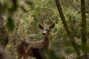03 HuddartPark 16.10.22 09.12