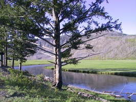 008-Yellowstone