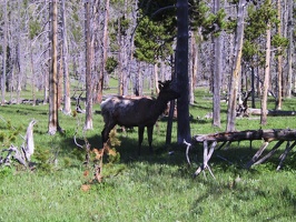 032-Yellowstone