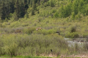 009 Wyoming 24mai15 12H22