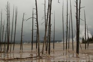 236 Yellowstone 26mai15 16H37