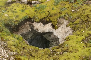 256 Yellowstone 27mai15 09H57