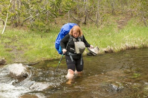 257 Yellowstone 27mai15 12H34
