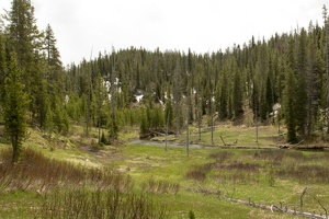 258 Yellowstone 27mai15 13H01