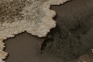 264 Yellowstone 27mai15 15H05