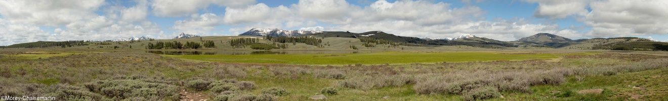 347 Yellowstone 29mai15 11H18