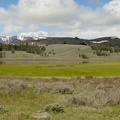 347 Yellowstone 29mai15 11H18