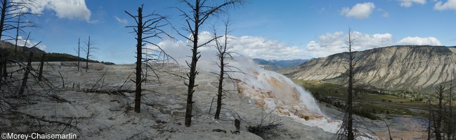 374 Yellowstone 29mai15 13H28