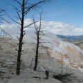 374 Yellowstone 29mai15 13H28