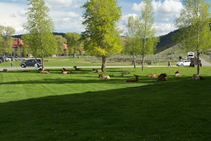 416 Yellowstone 29mai15 16H42