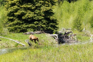 847 GrandTeton 04juin15 10H28