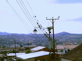 021 sucre