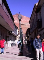 054 potosi rue
