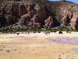 144 sud lipez lamas