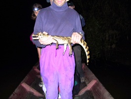 395 pampa alligator philou
