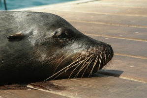 050 Galapagos 043014