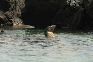 053 Galapagos 043014