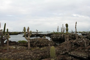 082 Galapagos 050112