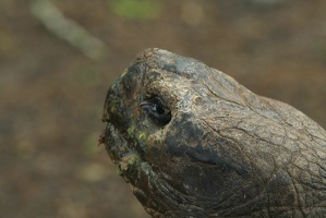 114 Galapagos 050211