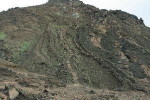 246 Galapagos 050517