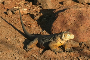 357 Galapagos 050717