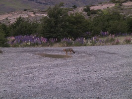012 TorreDelPaine 20.12.04