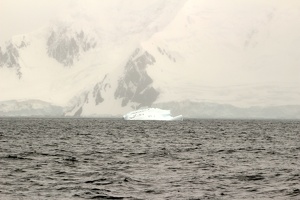 154 Antarctique 13.01.22 11.23.35