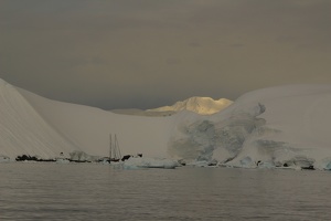 181 Antarctique 14.01.22 07.31.14