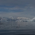 182 Antarctique 14.01.22 07.38.07