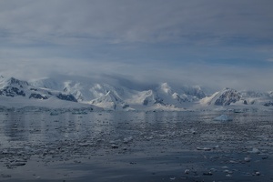 183 Antarctique 14.01.22 07.40.14