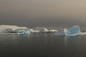 186 Antarctique 14.01.22 08.36.08