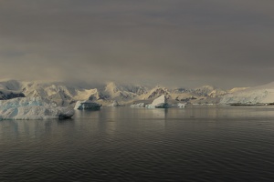 187 Antarctique 14.01.22 08.40.53