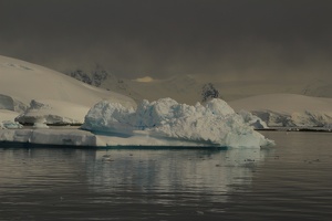 191 Antarctique 14.01.22 08.56.58