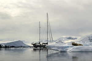 201 Antarctique 14.01.22 10.20.18