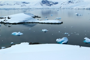 259 Antarctique 15.01.22 10.44.00