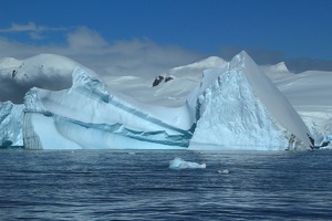 627 Antarctique 21.01.22 12.15.52