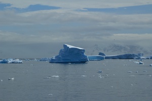 633 Antarctique 21.01.22 12.29.06