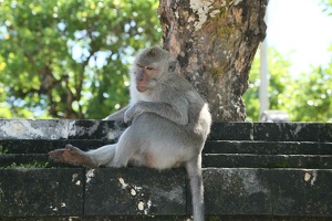 004 Bali-04mai23-13H42